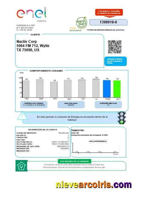 Colombia ENEL energy business utility bill
